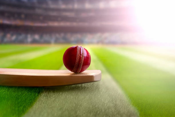 Impact of betting odds on potential winnings in IPL cricket