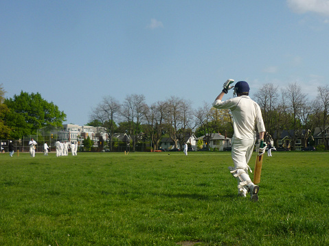 Cricket and Brand Partnerships: Exploring Successful Collaborations