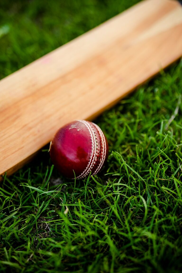 Tips for using the Martingale betting strategy in cricket