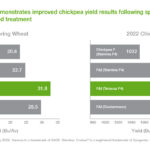 How to Secure Your Cricket ID Online: Step‑by‑Step Guide to Get Cricket ID Quickly and Safely